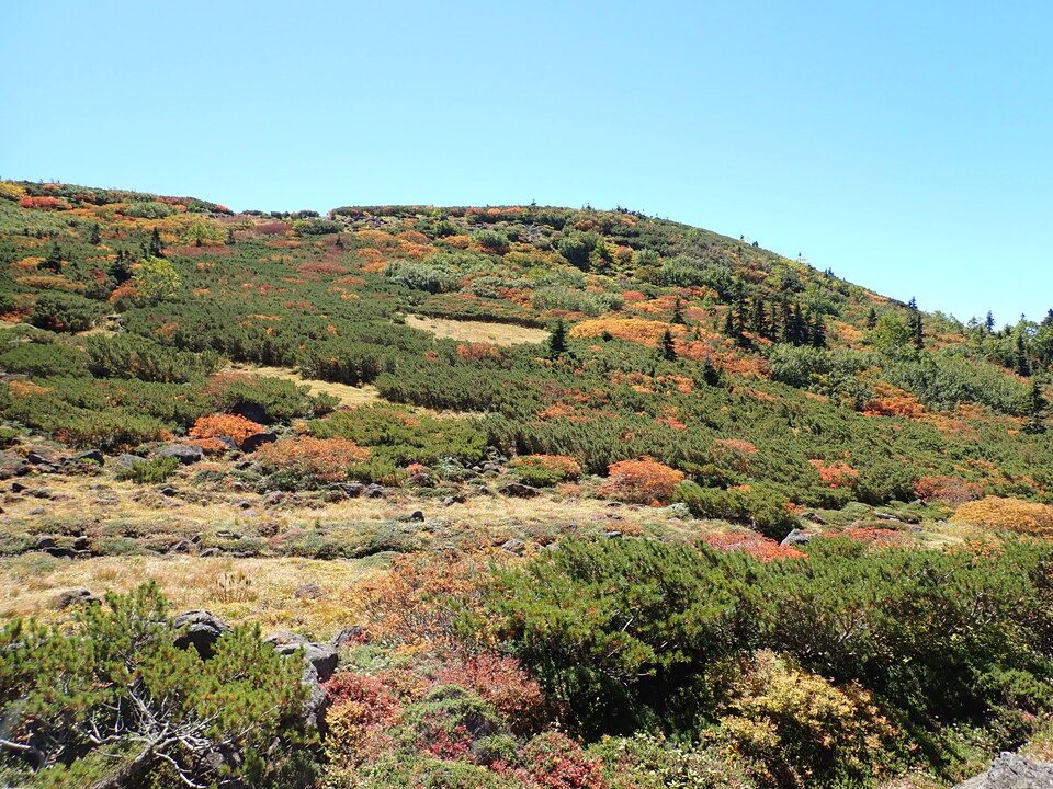 P9193858_mid.jpg