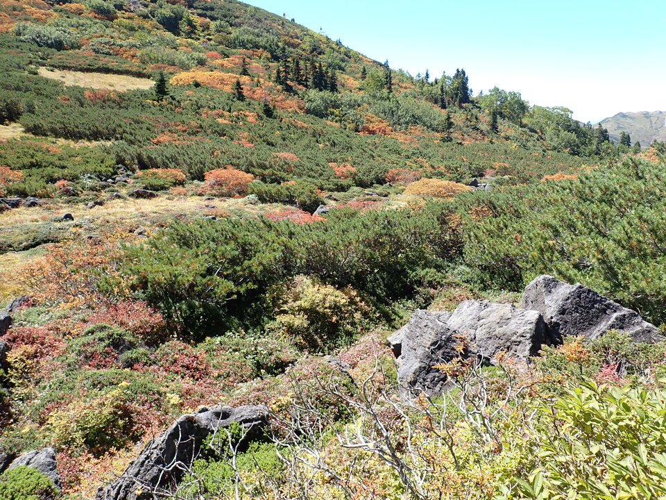 P9193859_mid.jpg