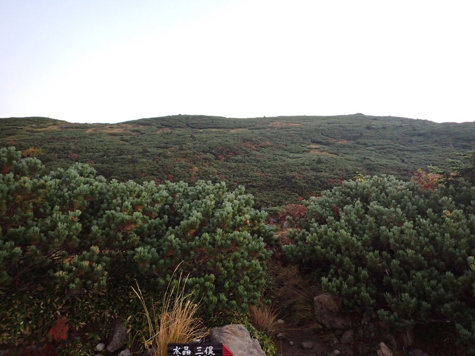 P9203876_mid.jpg