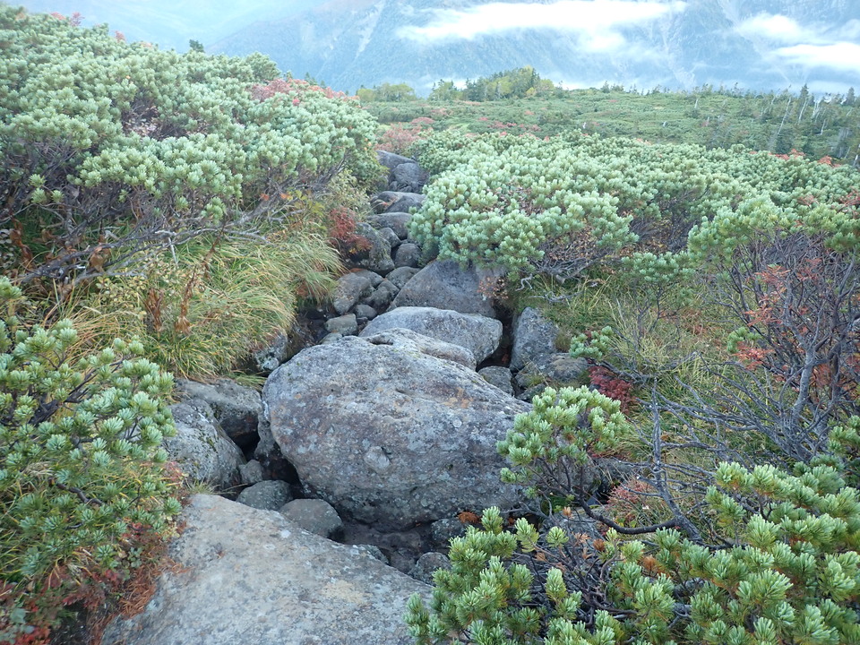 P9203888_mid.jpg
