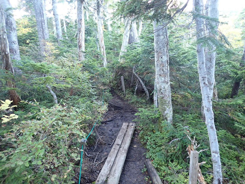 P9203893_mid.jpg