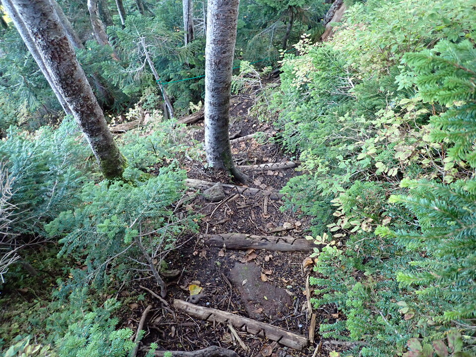 P9203894_mid.jpg