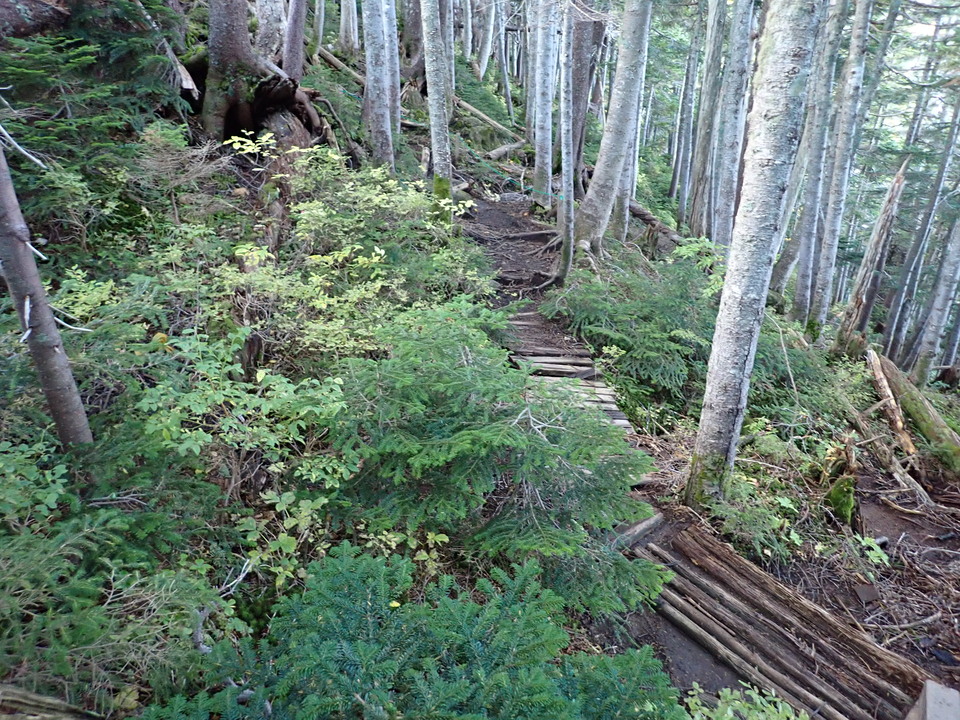 P9203901_mid.jpg