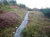 P9203902_thumb.png