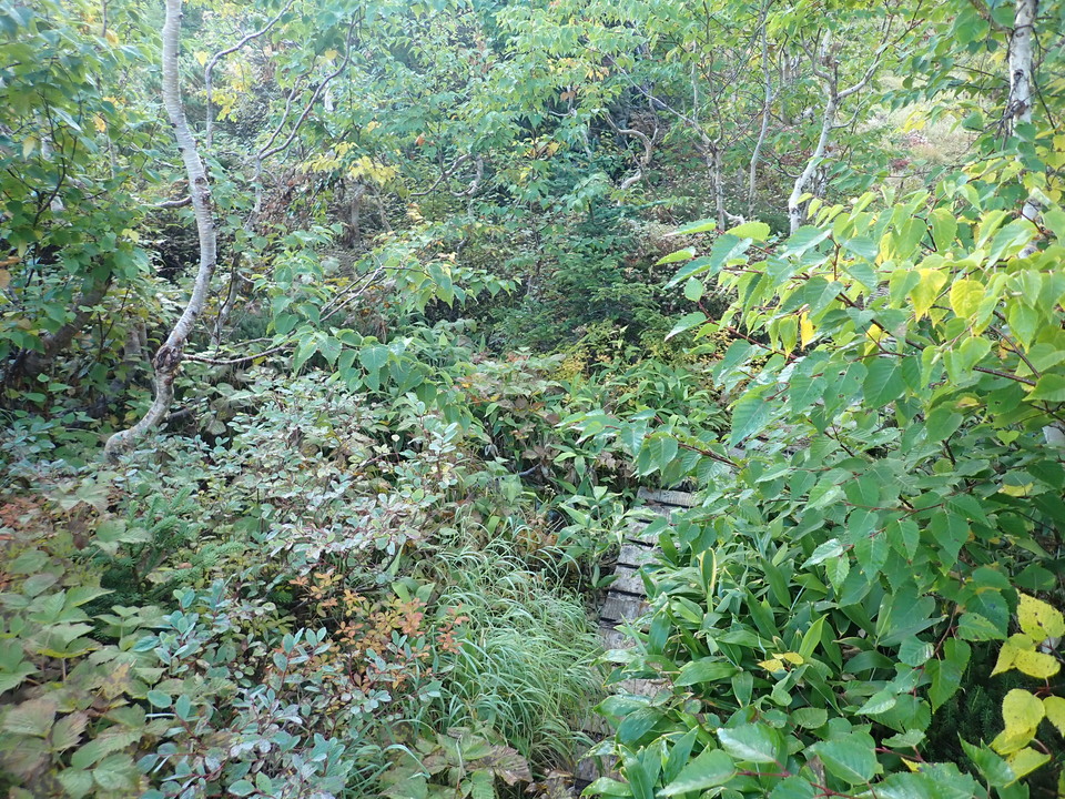 P9203903_mid.jpg