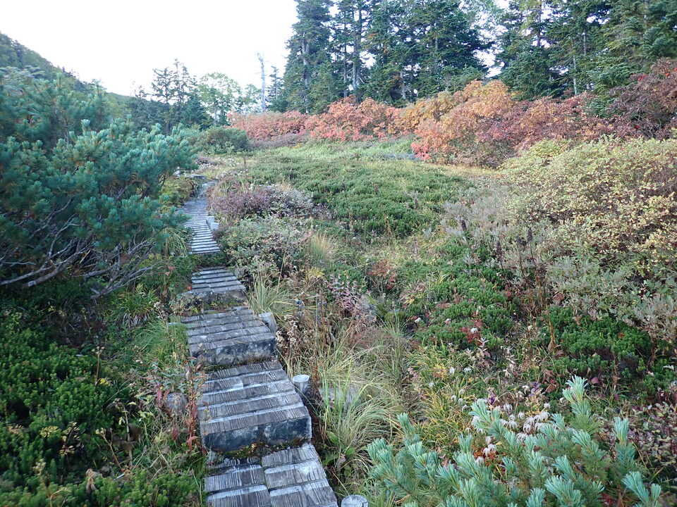 P9203907_mid.jpg