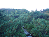 P9203914_thumb.png