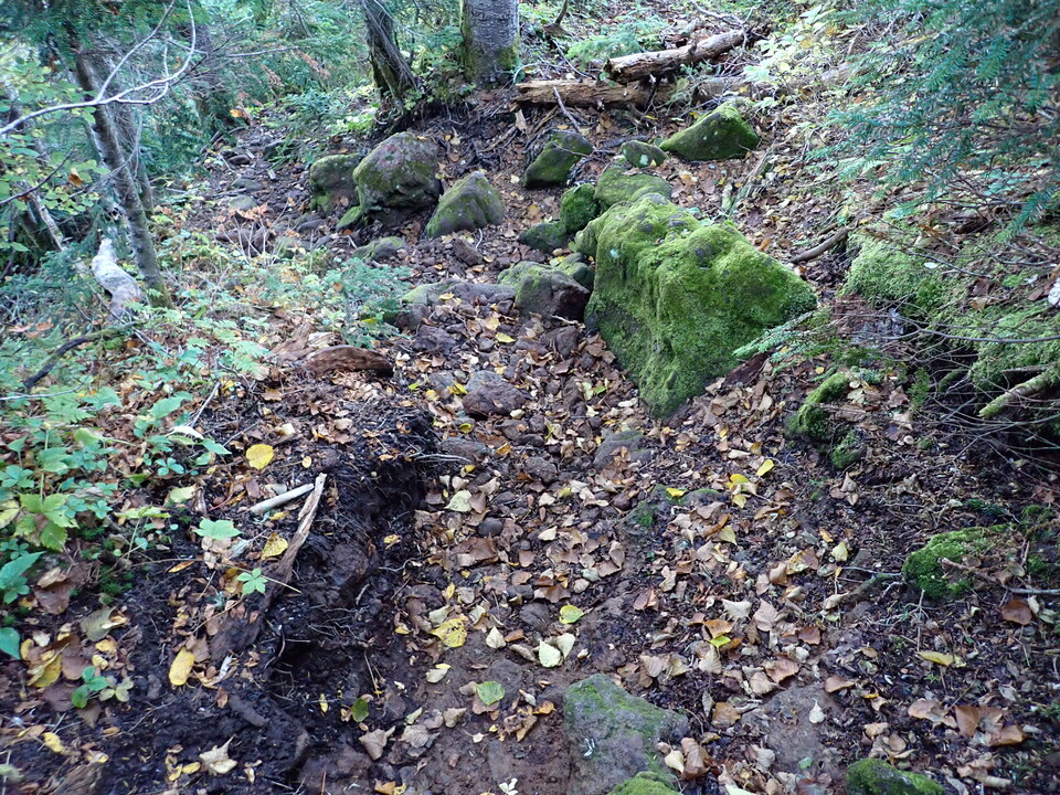 P9203915_mid.jpg
