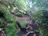 P9203916_thumb.png