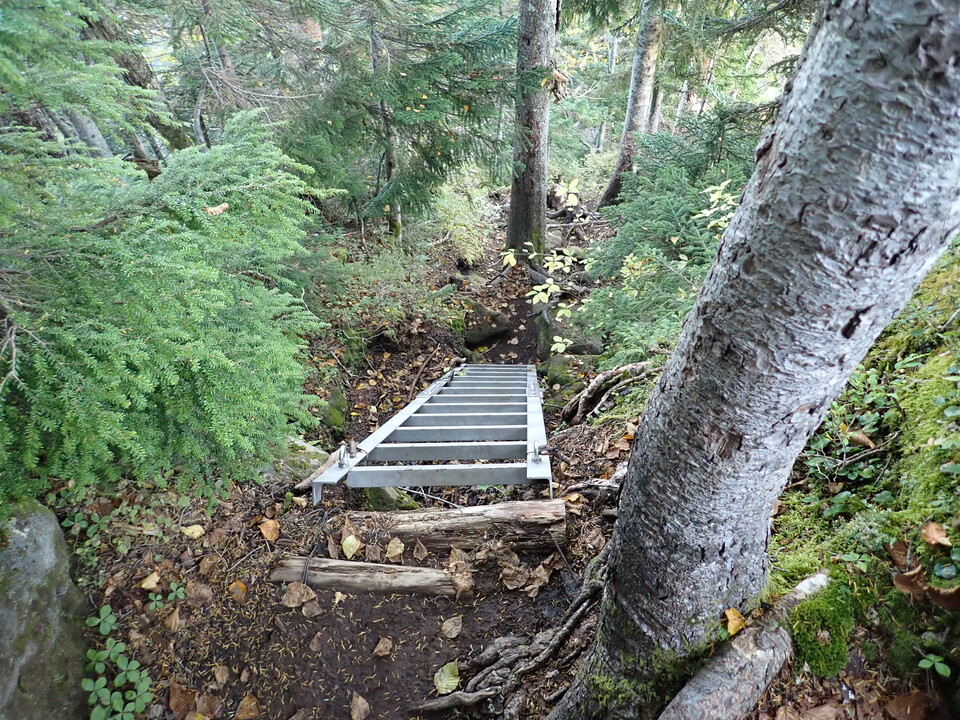 P9203917_mid.jpg