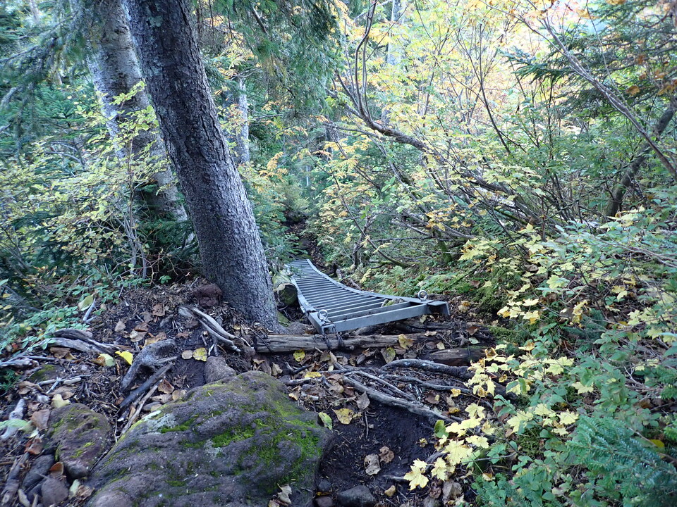 P9203919_mid.jpg