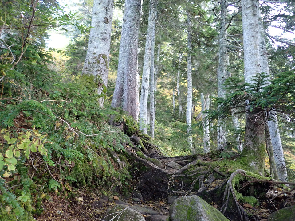 P9203924_mid.jpg