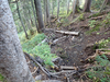 P9203925_thumb.png