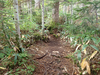 P9203933_thumb.png