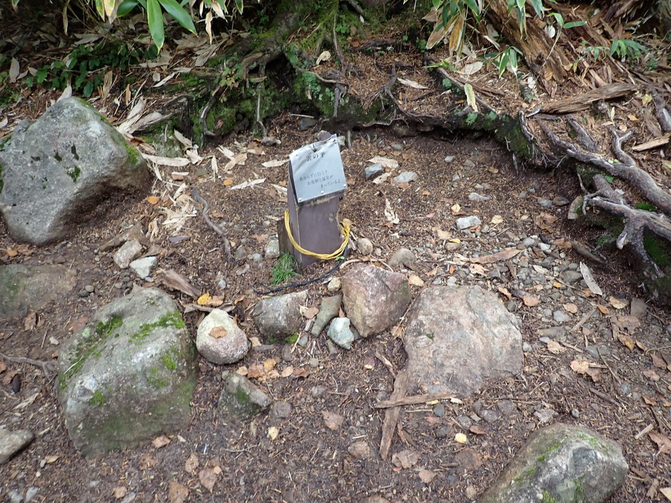 P9203934_mid.jpg