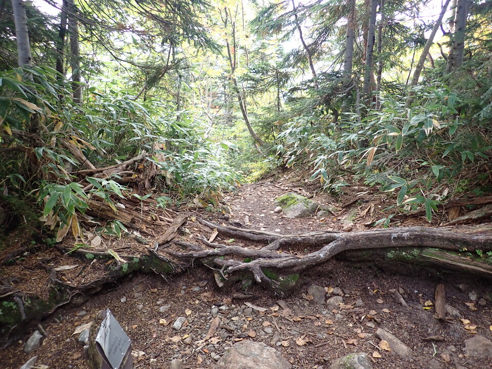 P9203938_mid.jpg