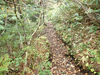 P9203939_thumb.png
