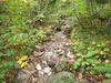 P9203942_thumb.png