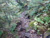 P9203943_thumb.png