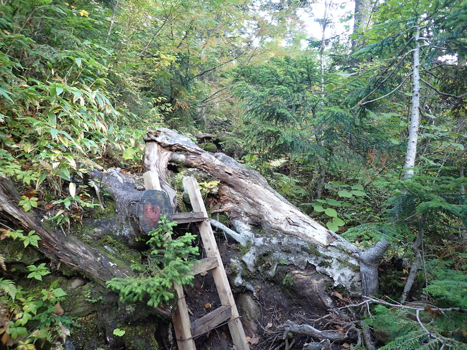 P9203944_mid.jpg