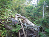 P9203944_thumb.png