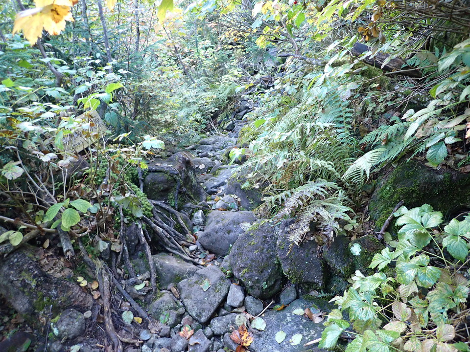 P9203945_mid.jpg