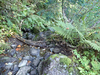P9203946_thumb.png