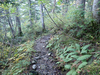 P9203947_thumb.png