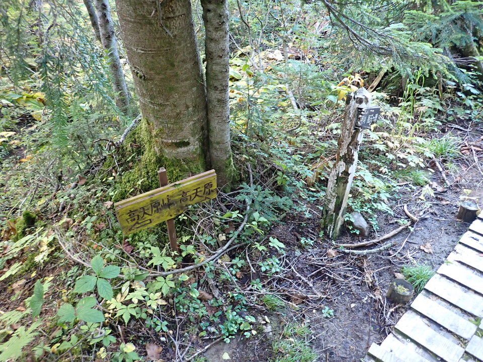 P9203951_mid.jpg