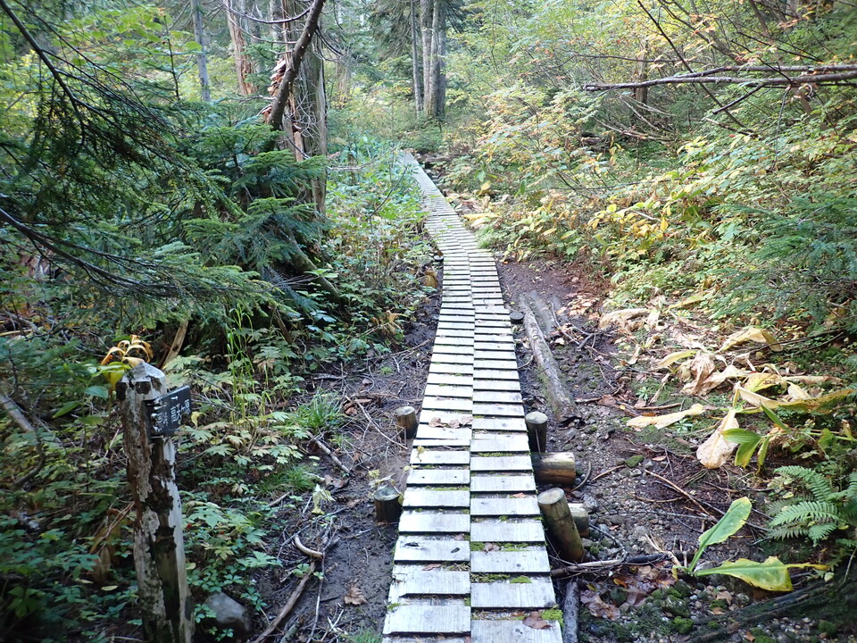 P9203952_mid.jpg