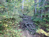 P9203953_thumb.png