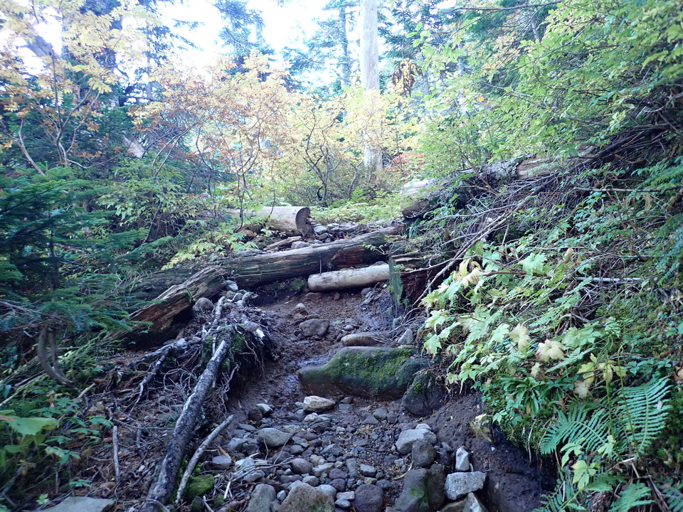 P9203960_mid.jpg