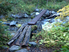 P9203962_thumb.png