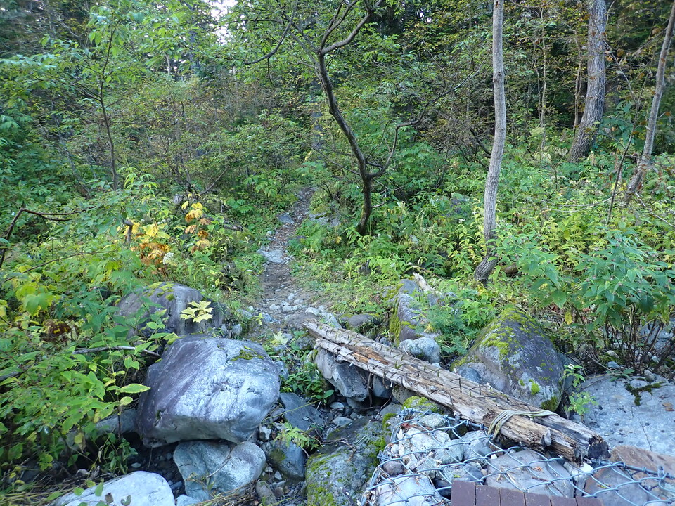 P9203966_mid.jpg