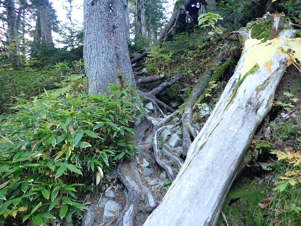 P9203967_mid.jpg