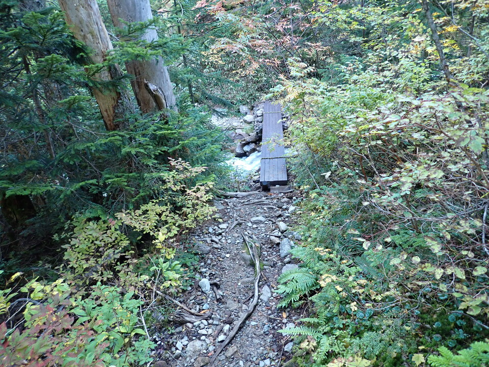P9203969_mid.jpg