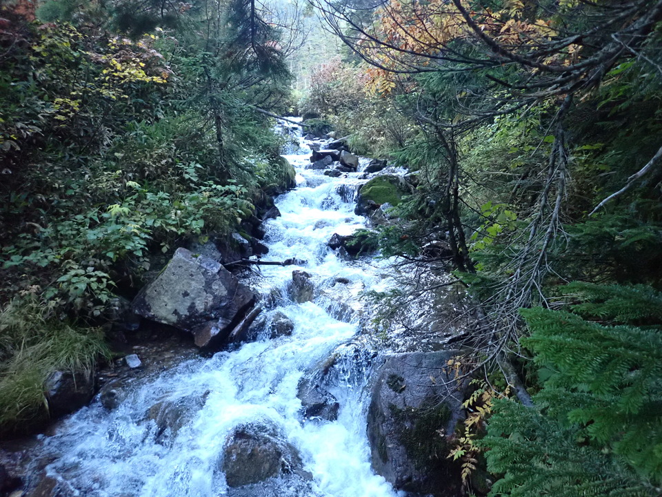 P9203971_mid.jpg
