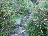 P9203975_thumb.png