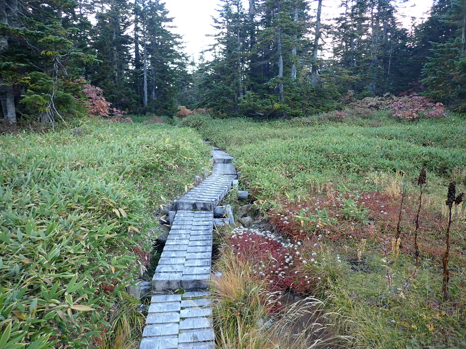 P9203978_mid.jpg