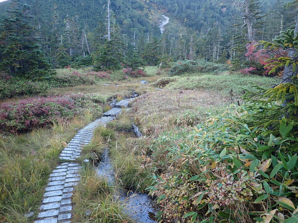 P9203982_mid.jpg