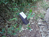 P9203985_thumb.png