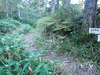 P9203988_thumb.png