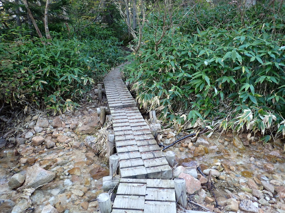P9203989_mid.jpg