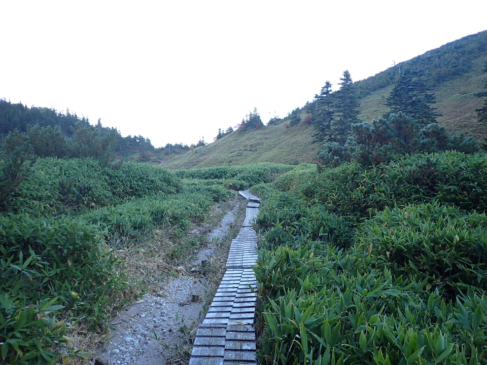 P9203990_mid.jpg