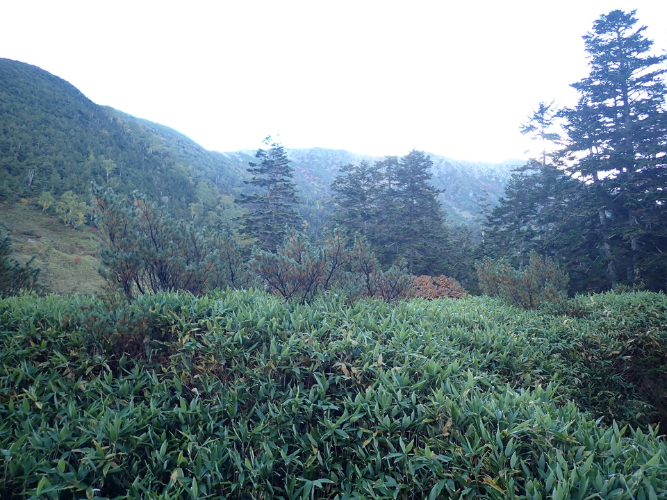 P9203991_mid.jpg