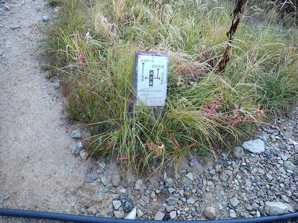 P9204001_mid.jpg