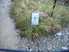 P9204001_thumb.png