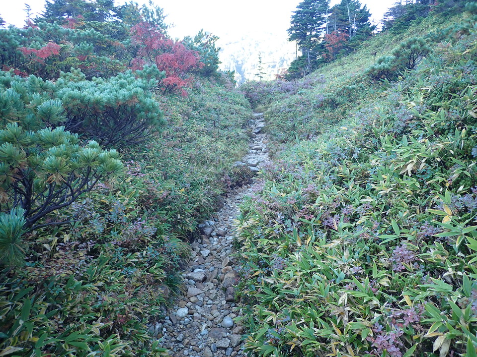 P9204007_mid.jpg
