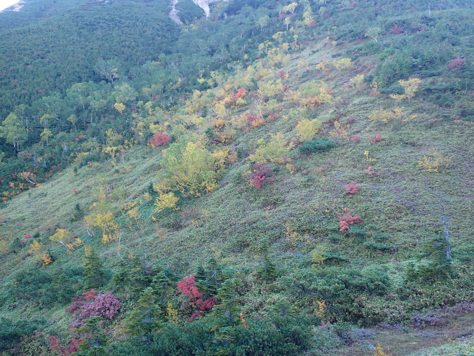 P9204008_mid.jpg