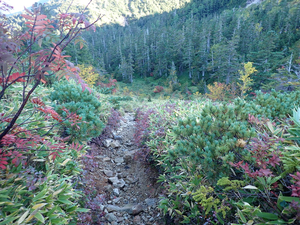 P9204010_mid.jpg